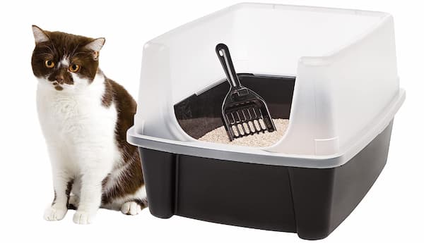 high-sided litter boxes